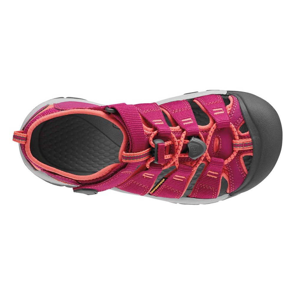 NEWPORT H2 K, very berry/fusion coral