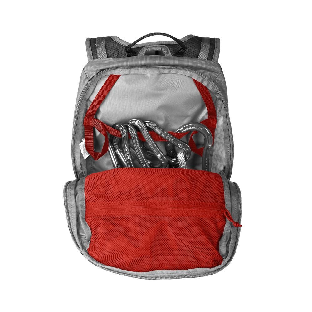 Neon Light 12l black-smoke