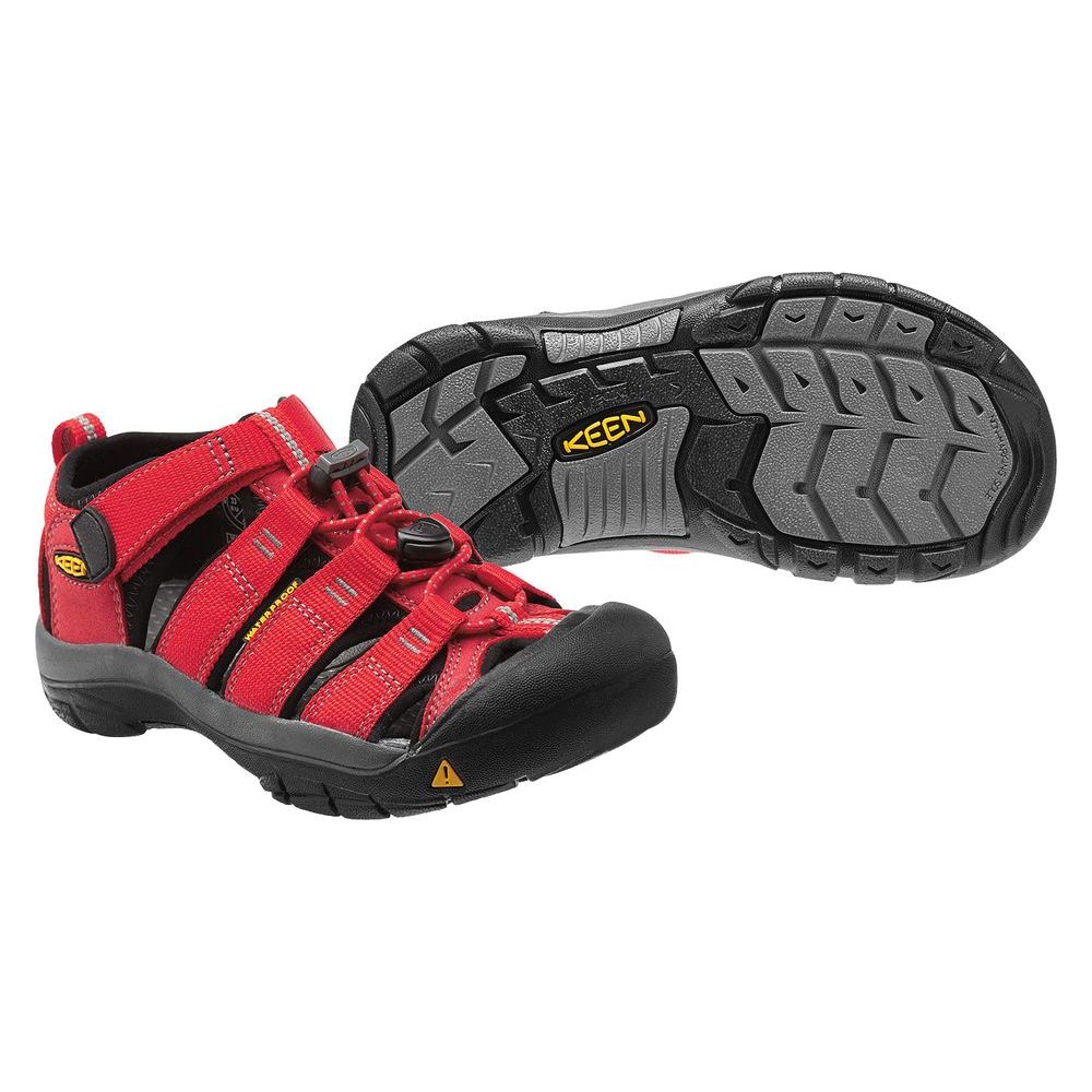 Newport H2 Jr, ribbon red/gargoyle