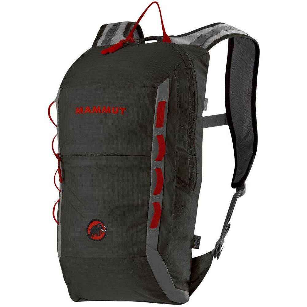 Neon Light 12l black-smoke