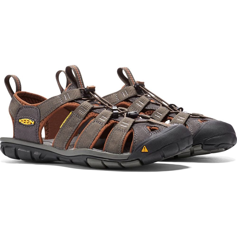 Clearwater CNX M, raven/tortoise shell