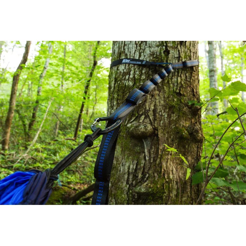 Atlas Suspension System, Black/Royal