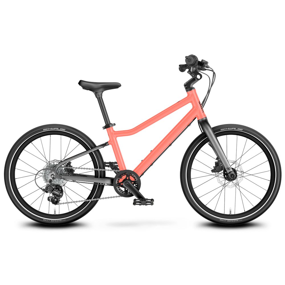 Explore 4 Neon Coral 20"