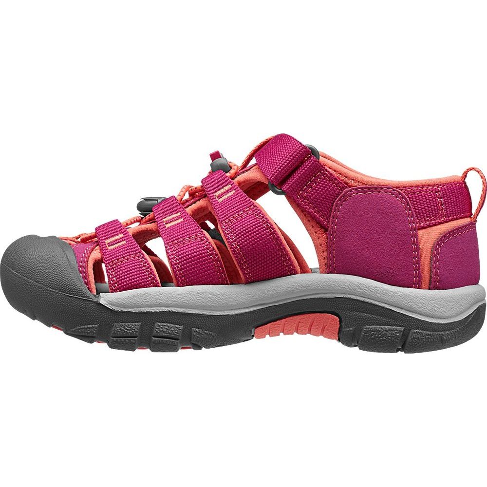 NEWPORT H2 JR, very berry/fusion coral