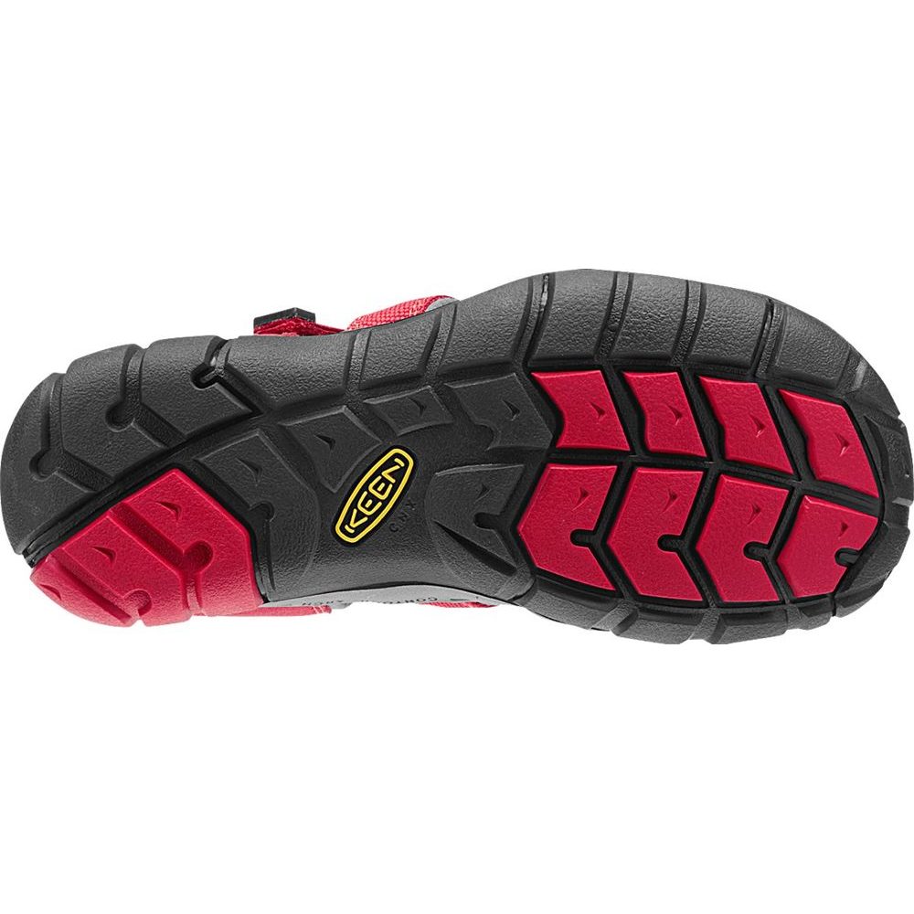 SEACAMP II CNX JR, racing red/gargoyle