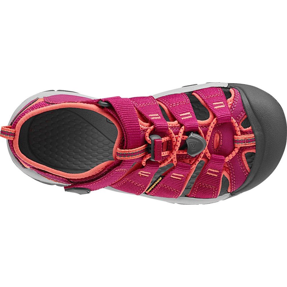 NEWPORT H2 JR, very berry/fusion coral
