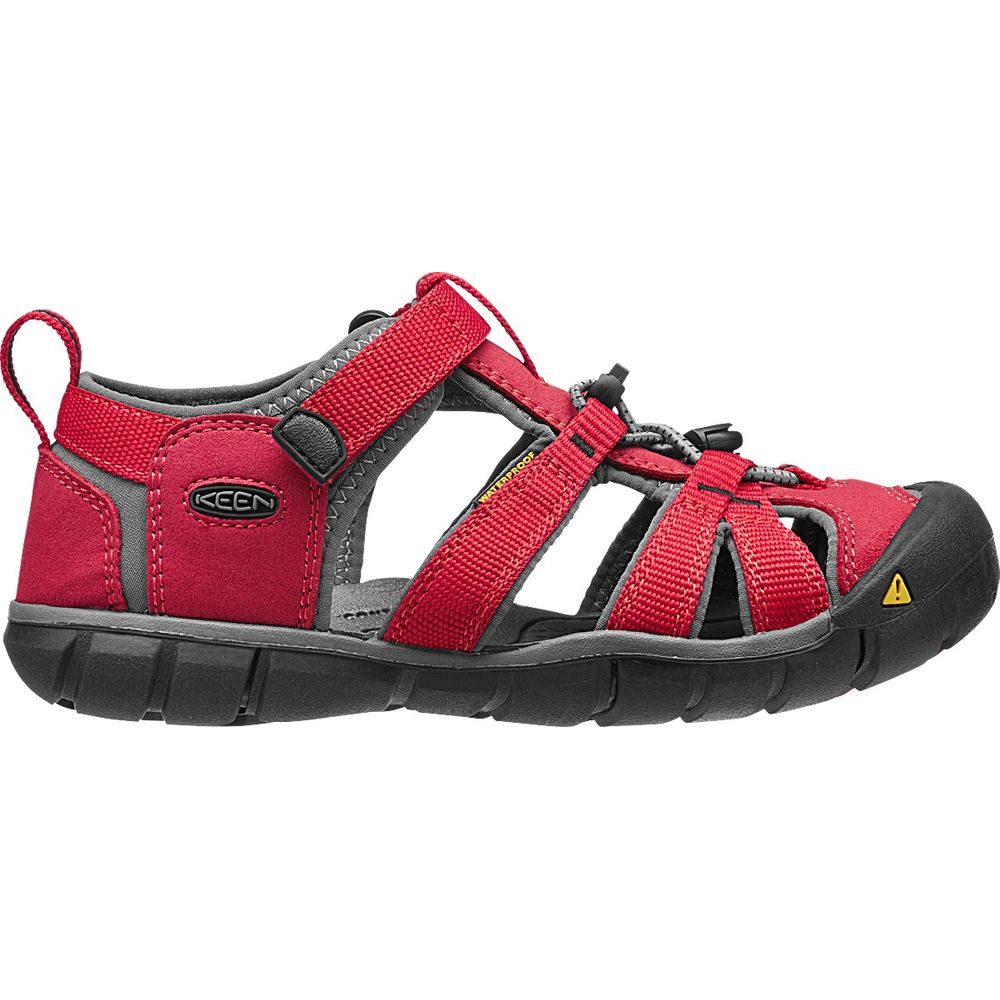 SEACAMP II CNX JR, racing red/gargoyle