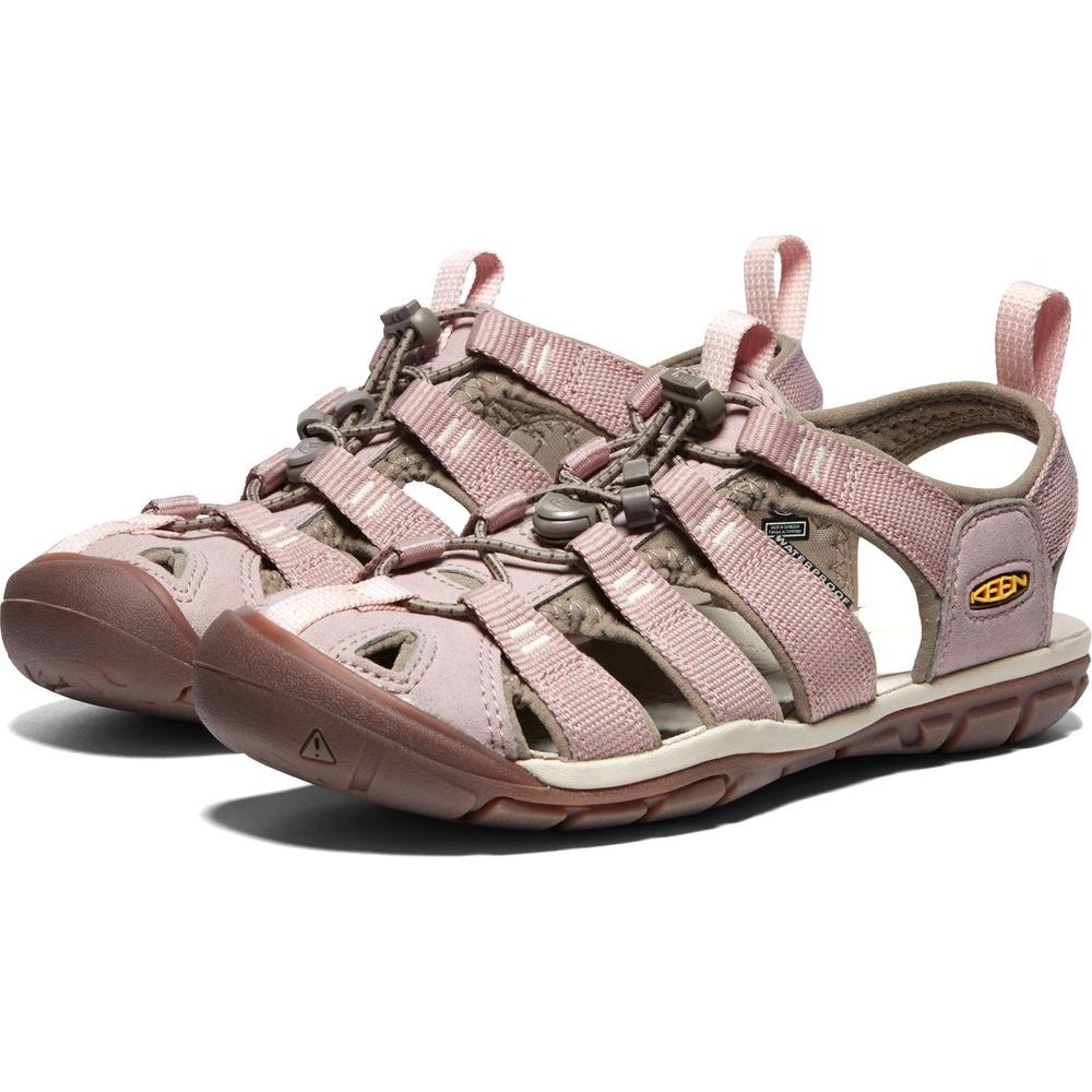 CLEARWATER CNX WOMEN, timberwolf/fawn