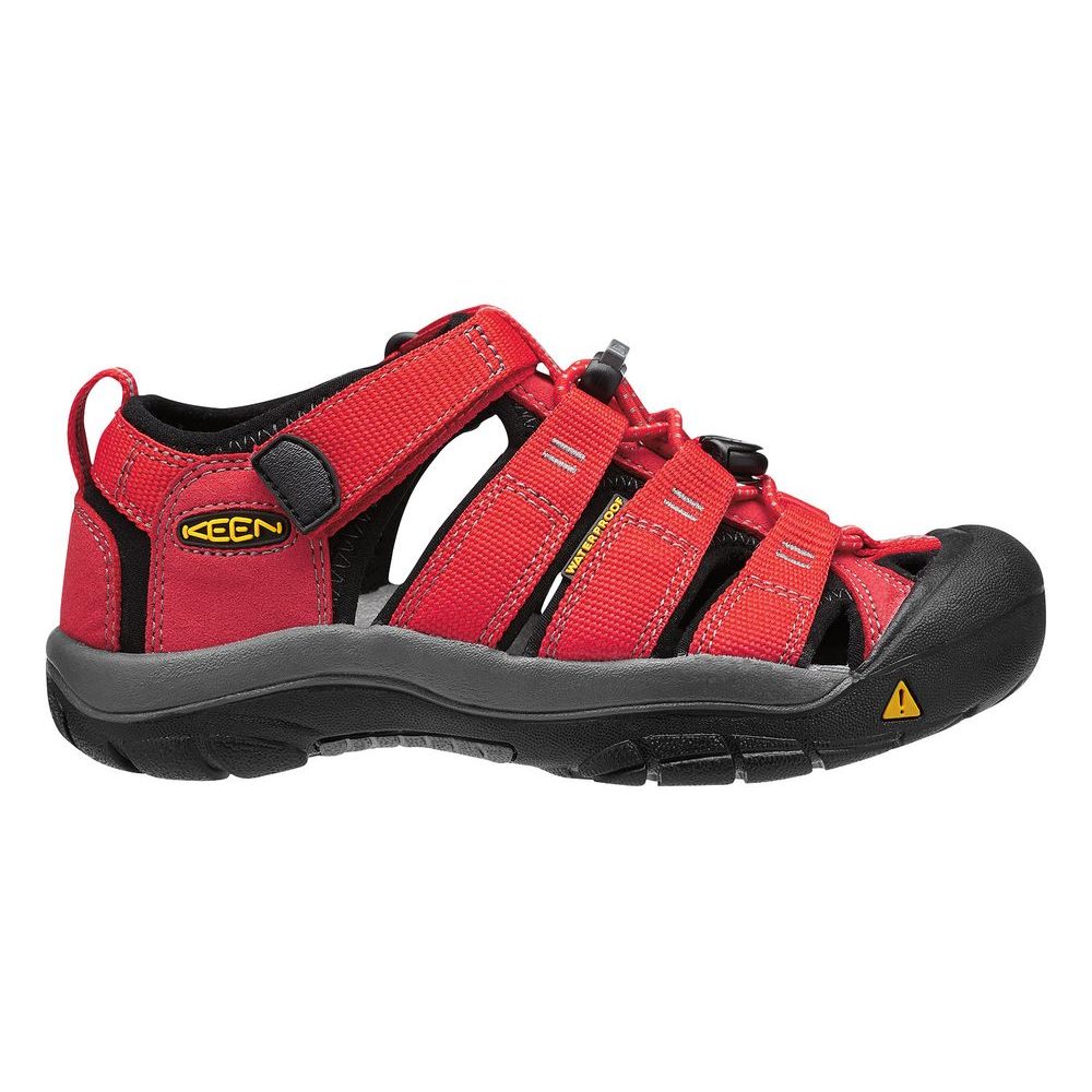 Newport H2 Jr, ribbon red/gargoyle