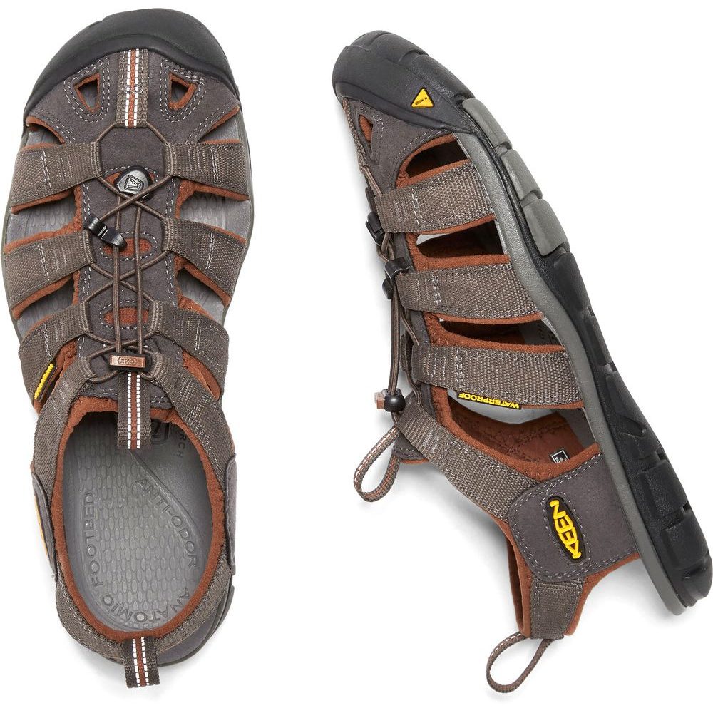 Clearwater CNX M, raven/tortoise shell