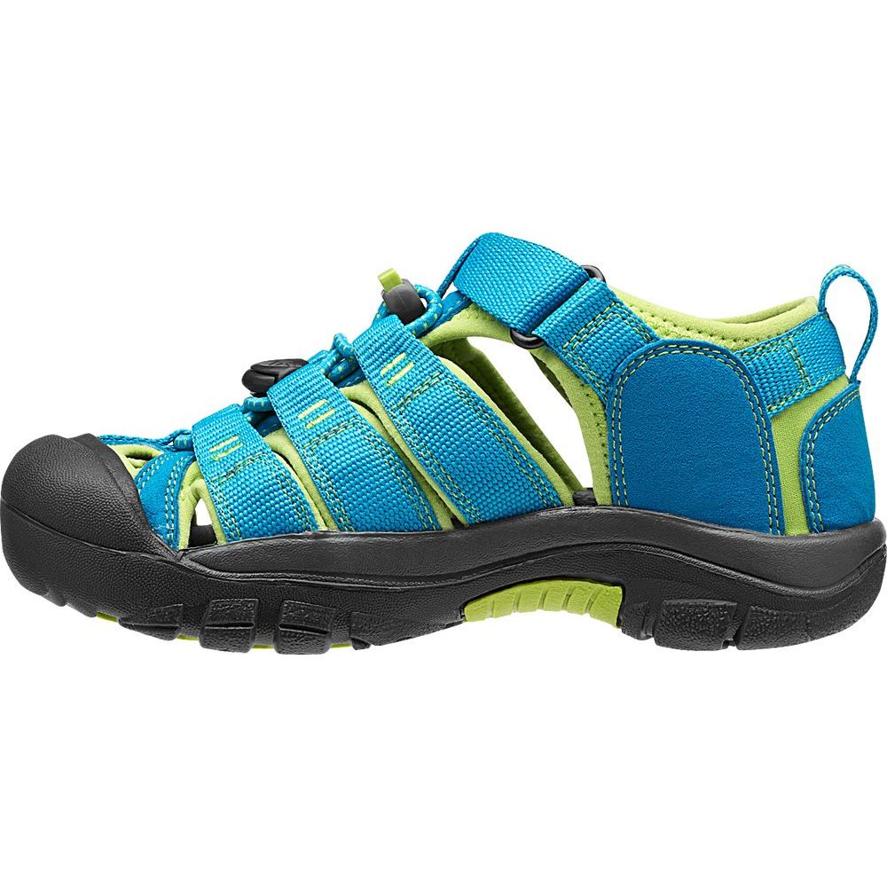 Newport H2 K hawaiian blue/green glow