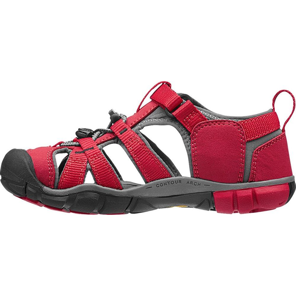 SEACAMP II CNX JR, racing red/gargoyle