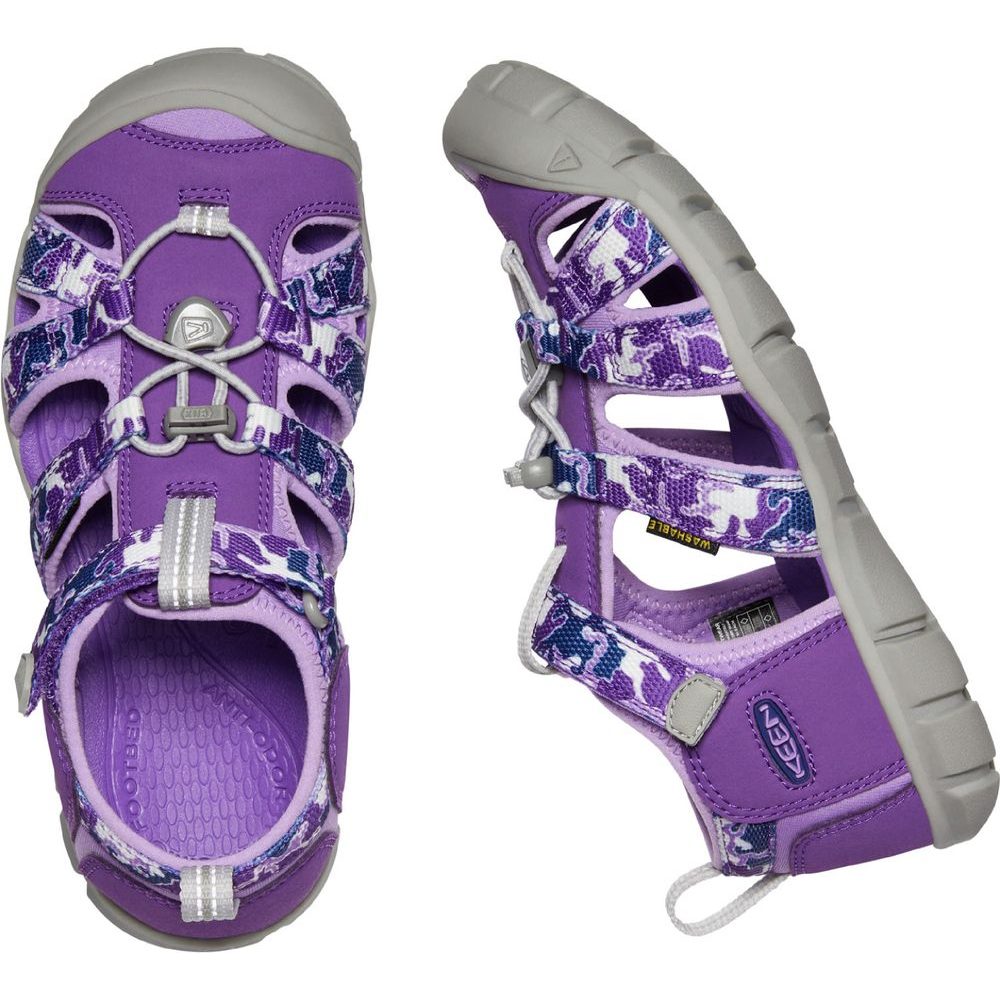 SEACAMP II CNX YOUTH, camo/tillandsia purple