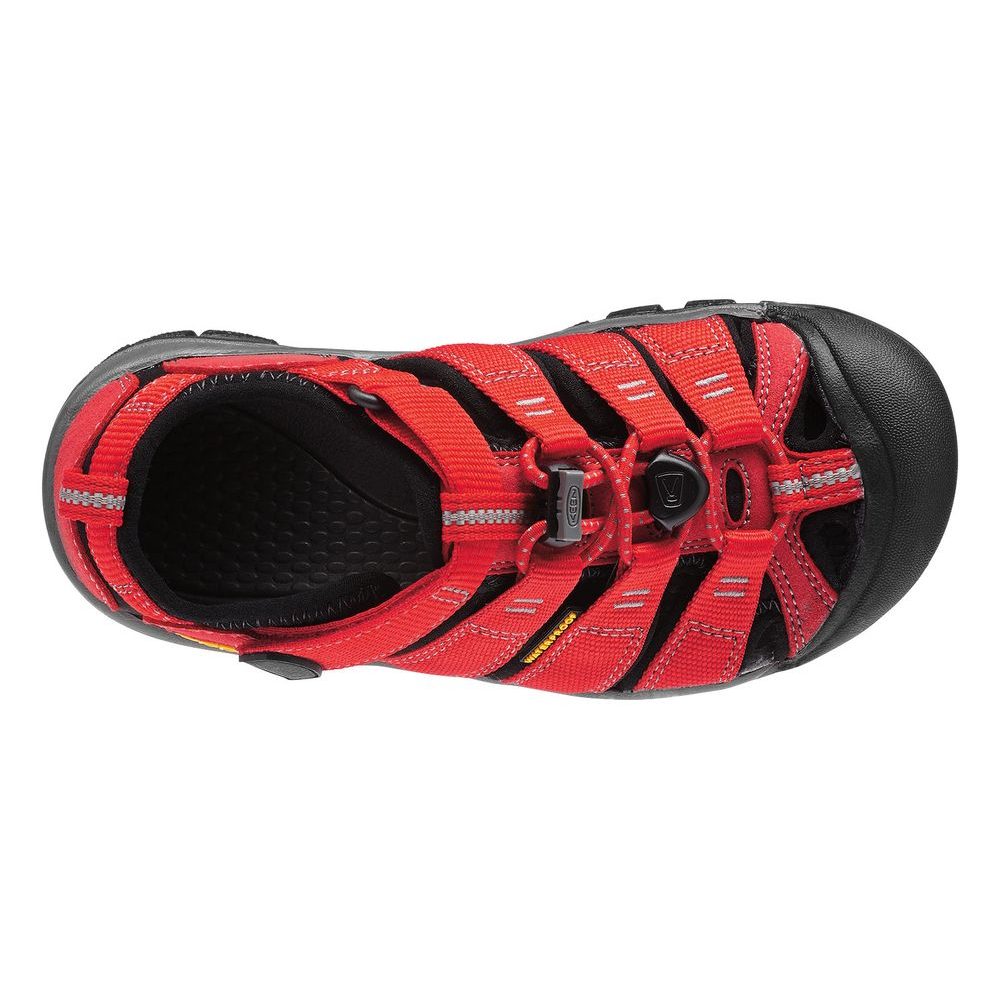 Newport H2 K ribbon red/gargoyle