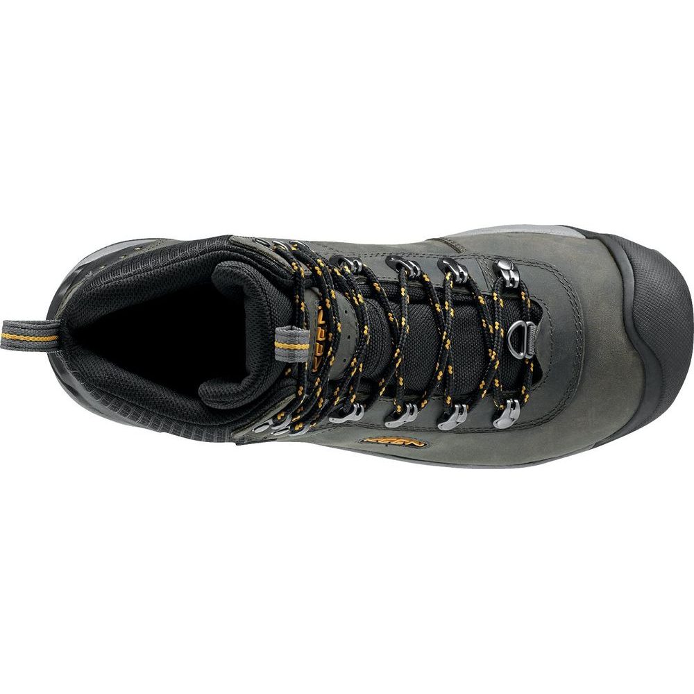 REVEL III M magnet/shadow olive