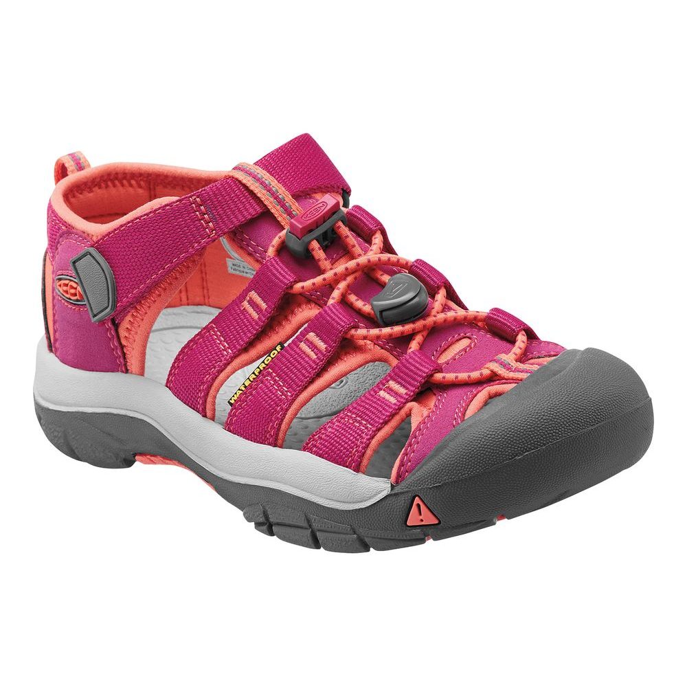 NEWPORT H2 K, very berry/fusion coral