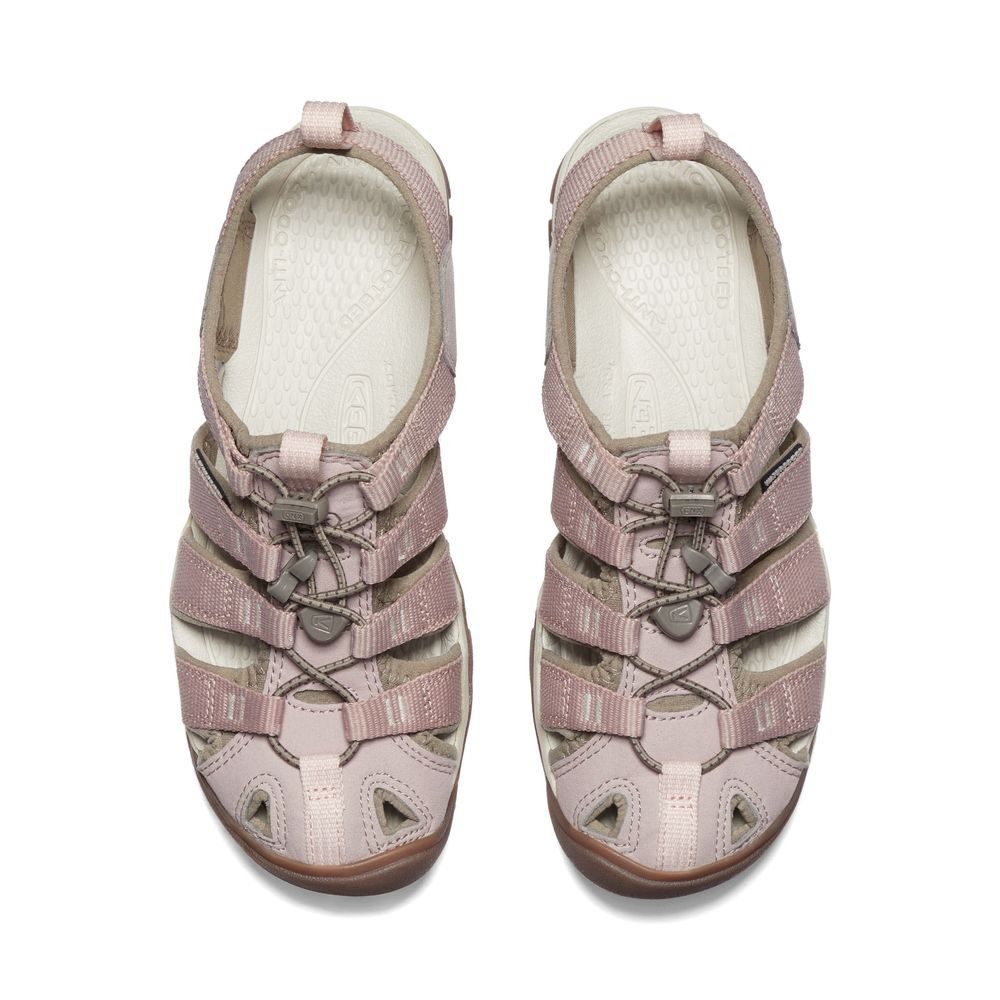 CLEARWATER CNX WOMEN, timberwolf/fawn