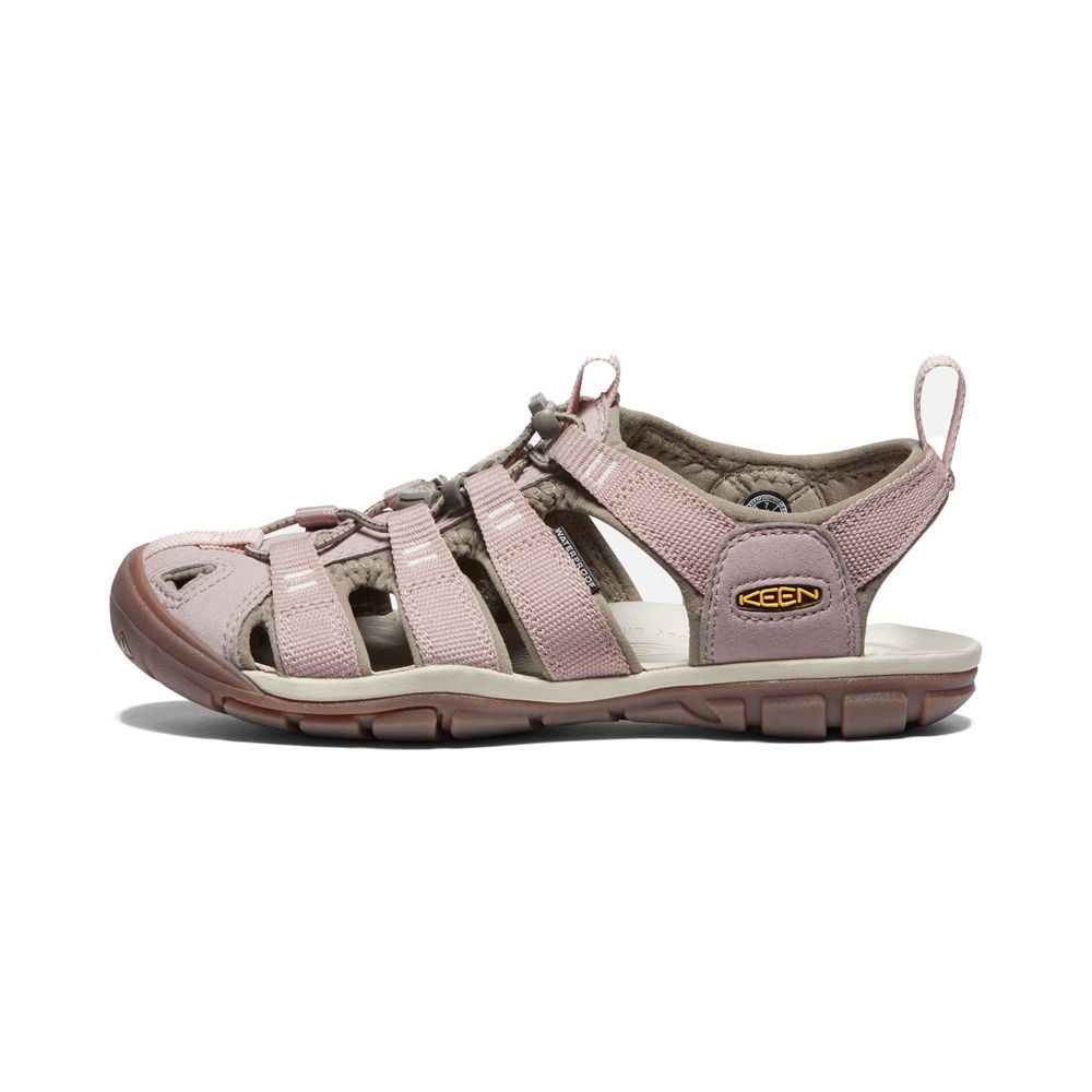CLEARWATER CNX WOMEN, timberwolf/fawn