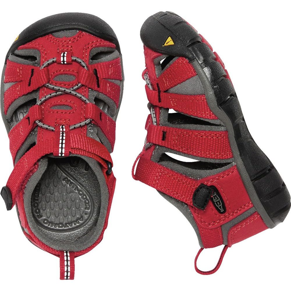 Seacamp II CNX INF racing red/gargoyle