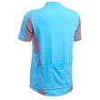 295020402 DRES HYBRID WSD CLEARWATER
