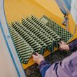 Troues R 1,8 Egg nest folding mat 195 x 60 x 1,8 cm