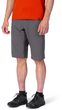 BINDERS SHORTS pavement/raven