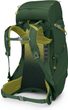 ACE 38, green canopy/matcha green