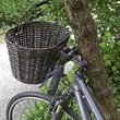 STRUCTURA 16l Black brown