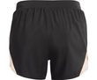Fly By 2.0 Brand Short-GRY