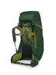 ACE 50, green canopy/matcha green