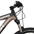 6000 DISC 2011 E-MATTE METALLIC BLACK/MATTE BRONZE - odpružené horské kolo