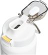 Wellspring Bottle 700 ml Hammertone Frost