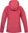 GOLDIE JR clared red