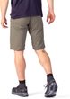 TIMOTY SHORTS brindle