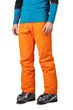 SLATER FD, puffins bill
