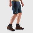 Abisko Midsummer Shorts M Fossil-Suede Brown