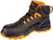FARMIS 2.0 S3S NM High