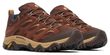 MOAB 3 GTX M umber
