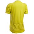 295021325 DRES HYBRID WSD LYMON