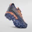 Ultra Raptor 3 GTX Chestnut/Night Sky