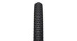 RANGER 2.25 29'' TCS Light Fast Rolling SG2 černá