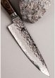 SHUN PREMIER TM 20 cm