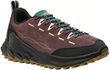 JASPER ZIONIC MEN huckleberry/lemon grass