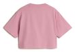 Archived Crop SS Pink Dawn