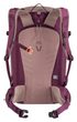 Freerider Pro 30+10 SL ashrose-cassis