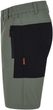 KRATOS Shorts green/black