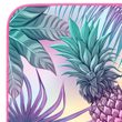 Camp NCR14 ananas