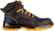 FARMIS 2.0 S3S NM High