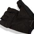 JagEtte Maroon Pulse