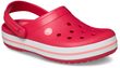 Crocband Digital Raspberry